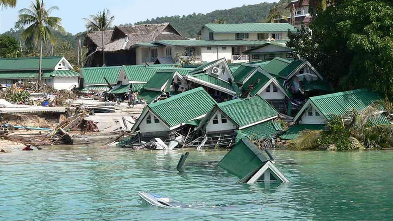 Tsunami: Wyścig z czasem