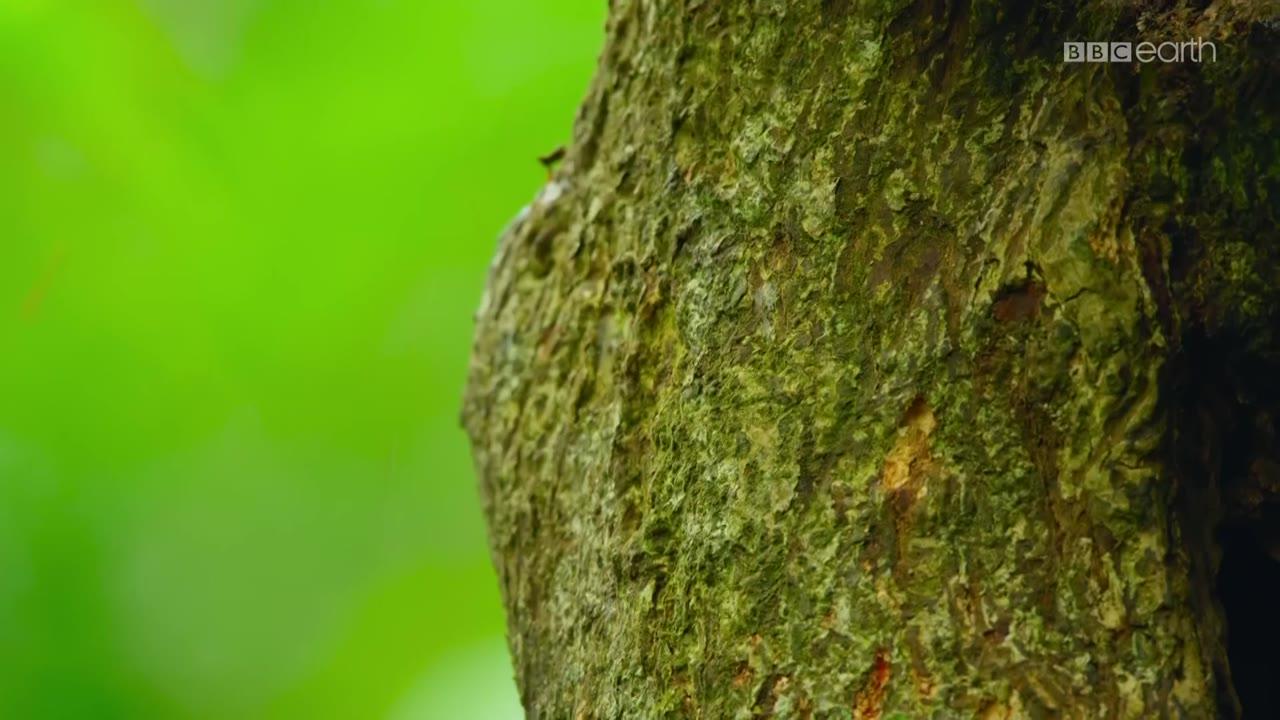 Dziewicze zakątki Ziemi