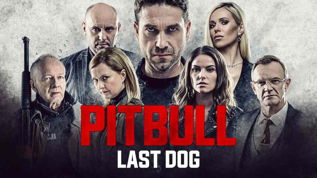 Pitbull. Last Dog