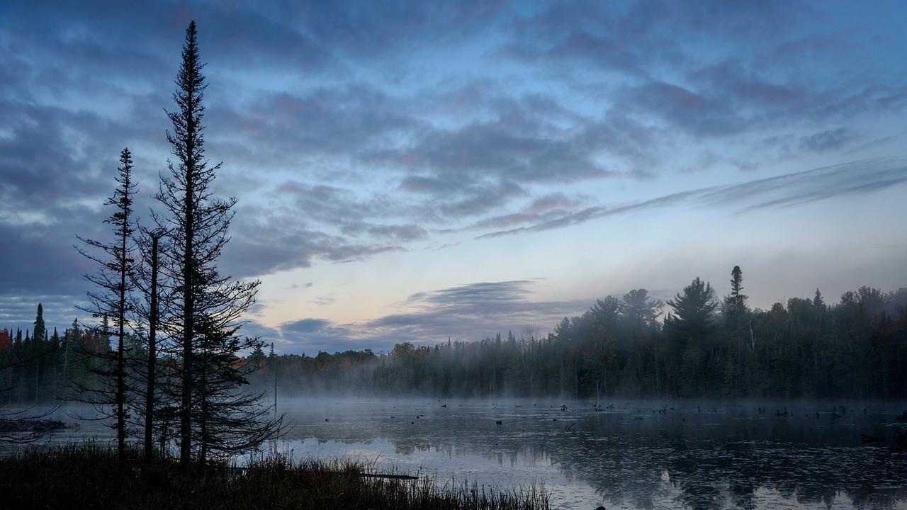 Natura w Jedynce: Kanada - sztuka przetrwania na dzikiej Północy