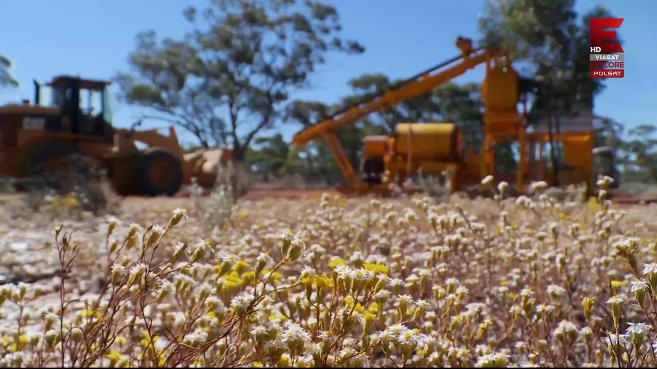 Australijscy poszukiwacze złota 2