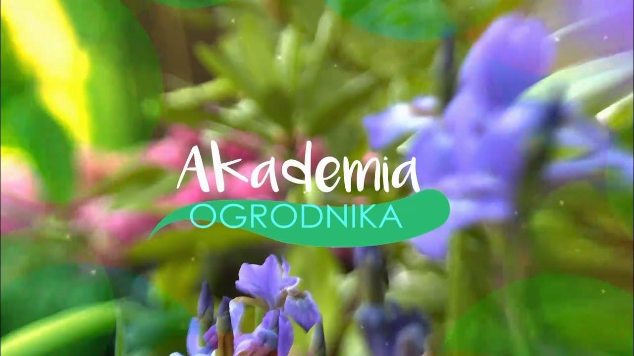 Akademia ogrodnika / 01.07.2024, 04:30