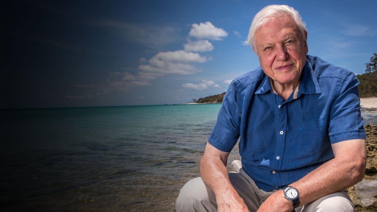 David Attenborough: życie w kolorze
