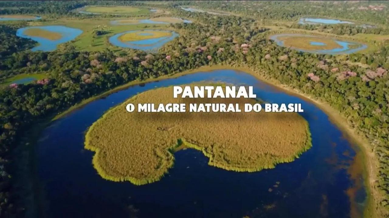 Pantanal - cud brazylijskiej przyrody