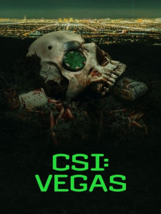 CSI: Vegas (S2E8): Śladem Grace