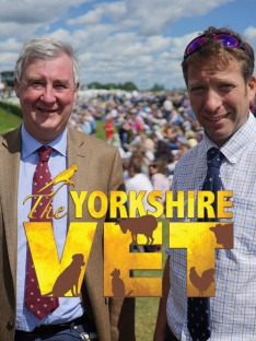 Weterynarz z Yorkshire (S4E8): Odcinek 8