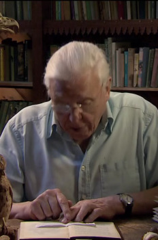 David Attenborough i cuda natury (3)