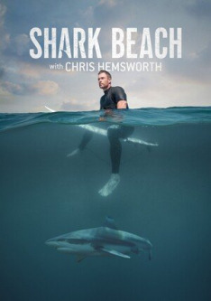 Chris Hemsworth na plaży rekinów