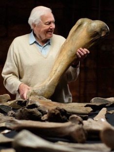 David Attenborough i cmentarzysko mamutów