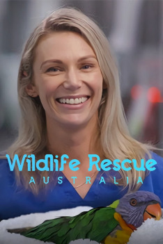 Australia: na ratunek zwierzętom (S1E2): Jack - pyton rombowy