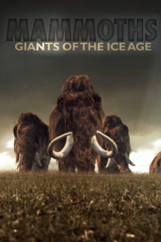 Mamuty - giganty epoki lodowcowej