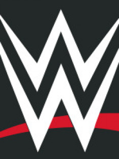 WWE Highlights (S1E19): WWE Highlights (19)