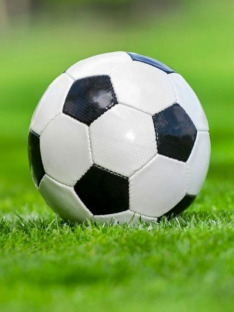 Piłka nożna: Liga włoska - mecz: Atalanta BC - Torino FC