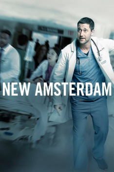 Szpital New Amsterdam (Początek)