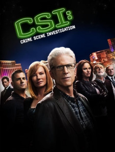 CSI: Kryminalne zagadki Las Vegas (S5E13): Odcinek 13