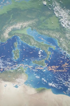 Morze Śródziemne: przyroda w potrzasku (S1E3): Morze Śródziemne: przyroda w potrzasku (3)