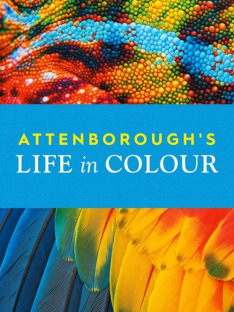 David Attenborough: życie w kolorze (S1E2): Odcinek 2